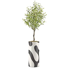 SIGNWIN Olive Tree with Black & White Swirling...