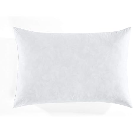 21 pillow insert