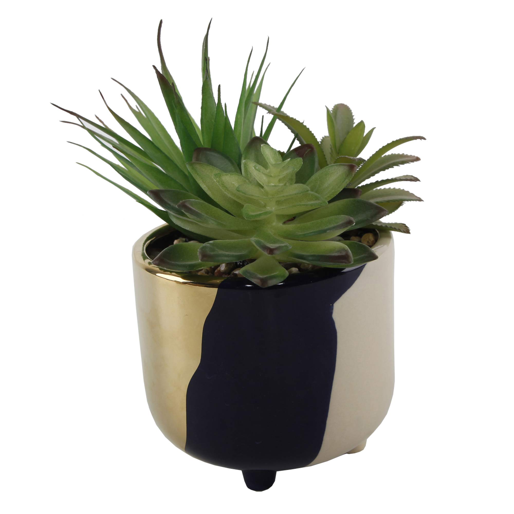 Amazon.com: Flora Bunda 4.8 吋空多肉植物鍋金屬色3 色陶瓷花盆