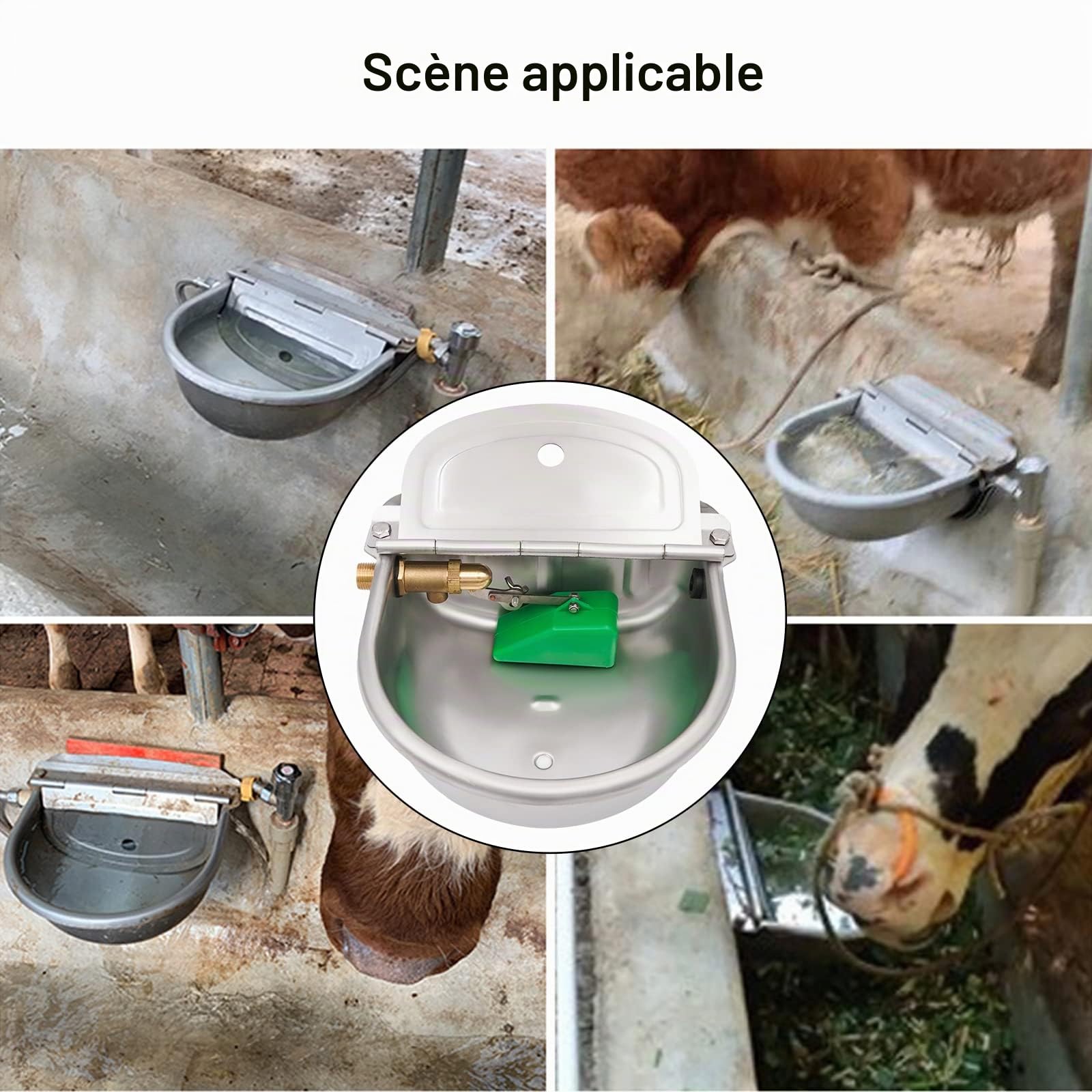 Abreuvoir Automatique pour Chevaux en Acier Inoxydable avec 1/2" Robinet à Flotteur en Laiton, Abreuvoir pour Chiens, Chevaux, Bovins, ChèVres, Alpagas, Porcs