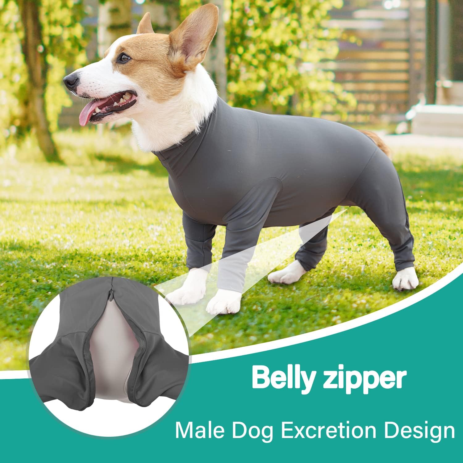 Etdane リカバリースーツ 犬用 手術スーツ 女性用避妊手術用犬 手術用ワンジー メス 舐め防止 犬の脱毛スーツ グレー/L