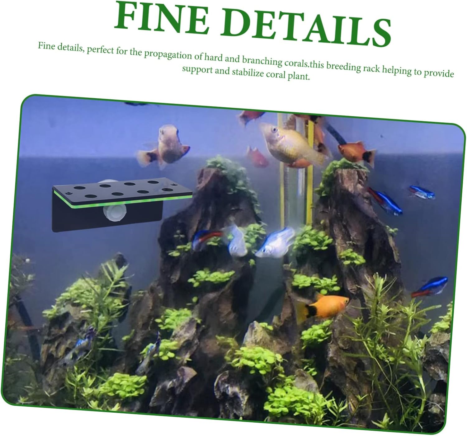 BESPORTBLE 2pcs Live Coral Display Stand Double Layer Aquarium Rack for Coral Cultivation Fluorescent Green Support for and Aquatic Decorations