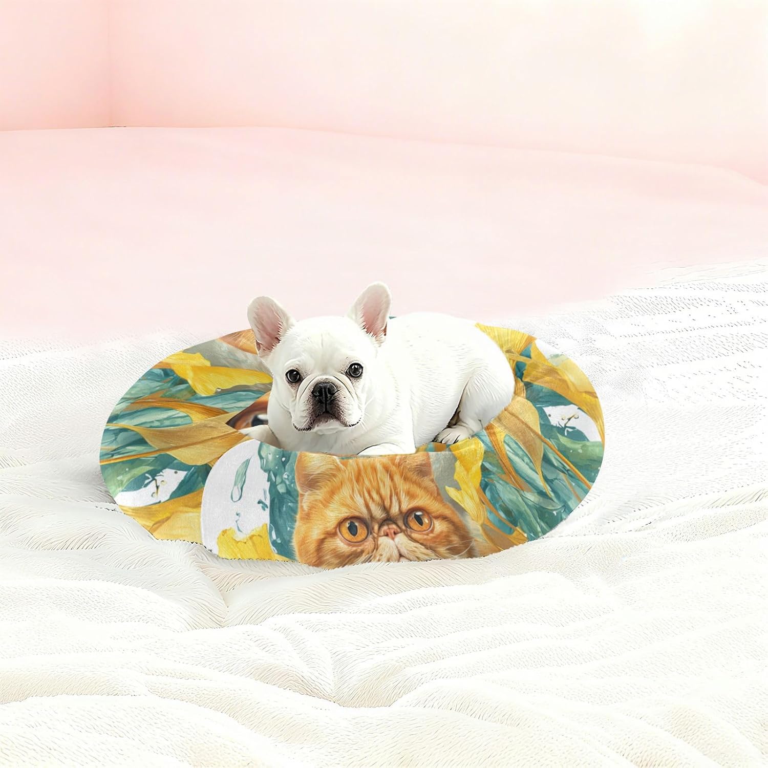 Exotic Yellow Cat Pet Dog Beds Relieve Stress Cat Pillow Bed for Extra Small Size Pets Sleeping S