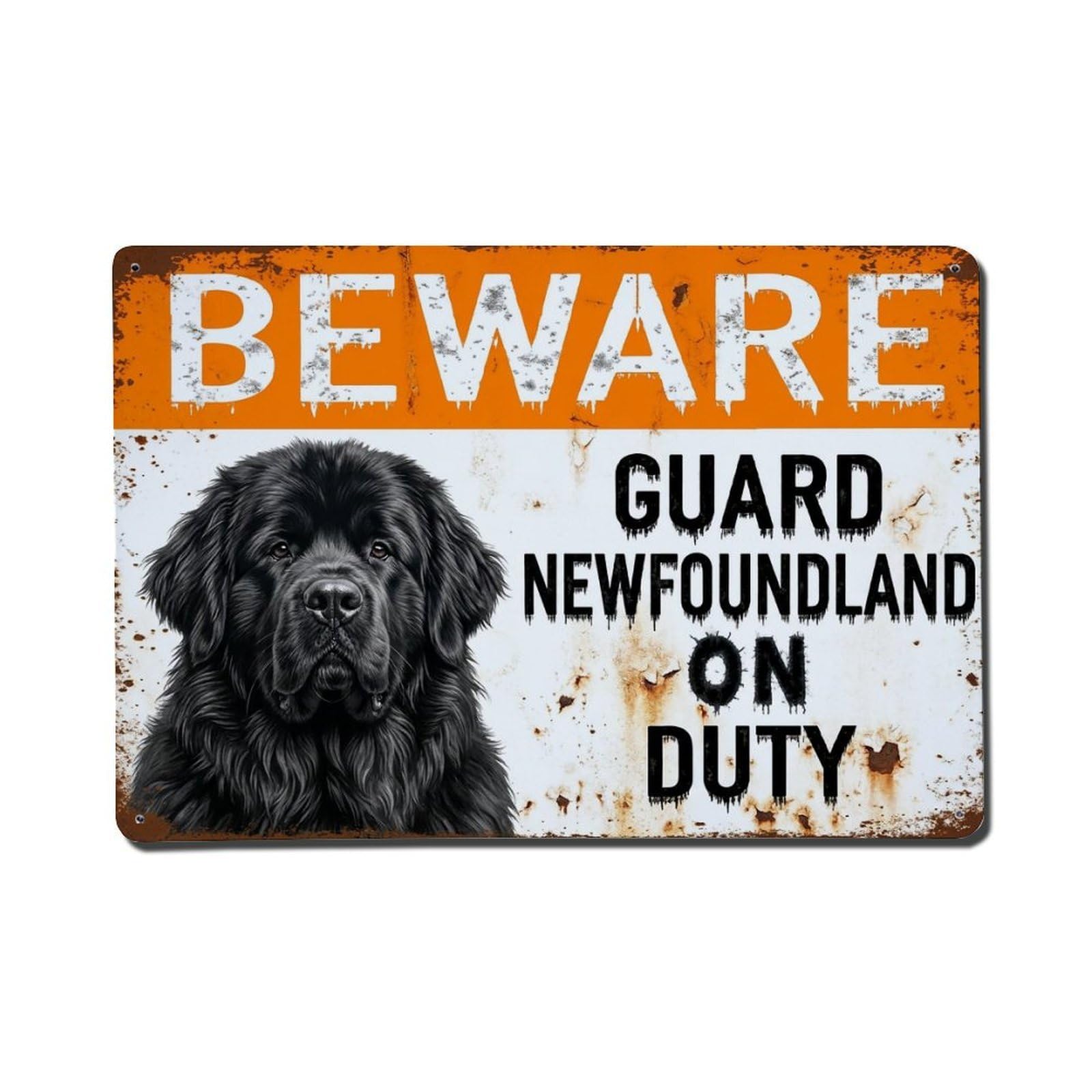 Vintage Funny Newfoundland Guard Beware of Dog Driveway Metal Tin Sign