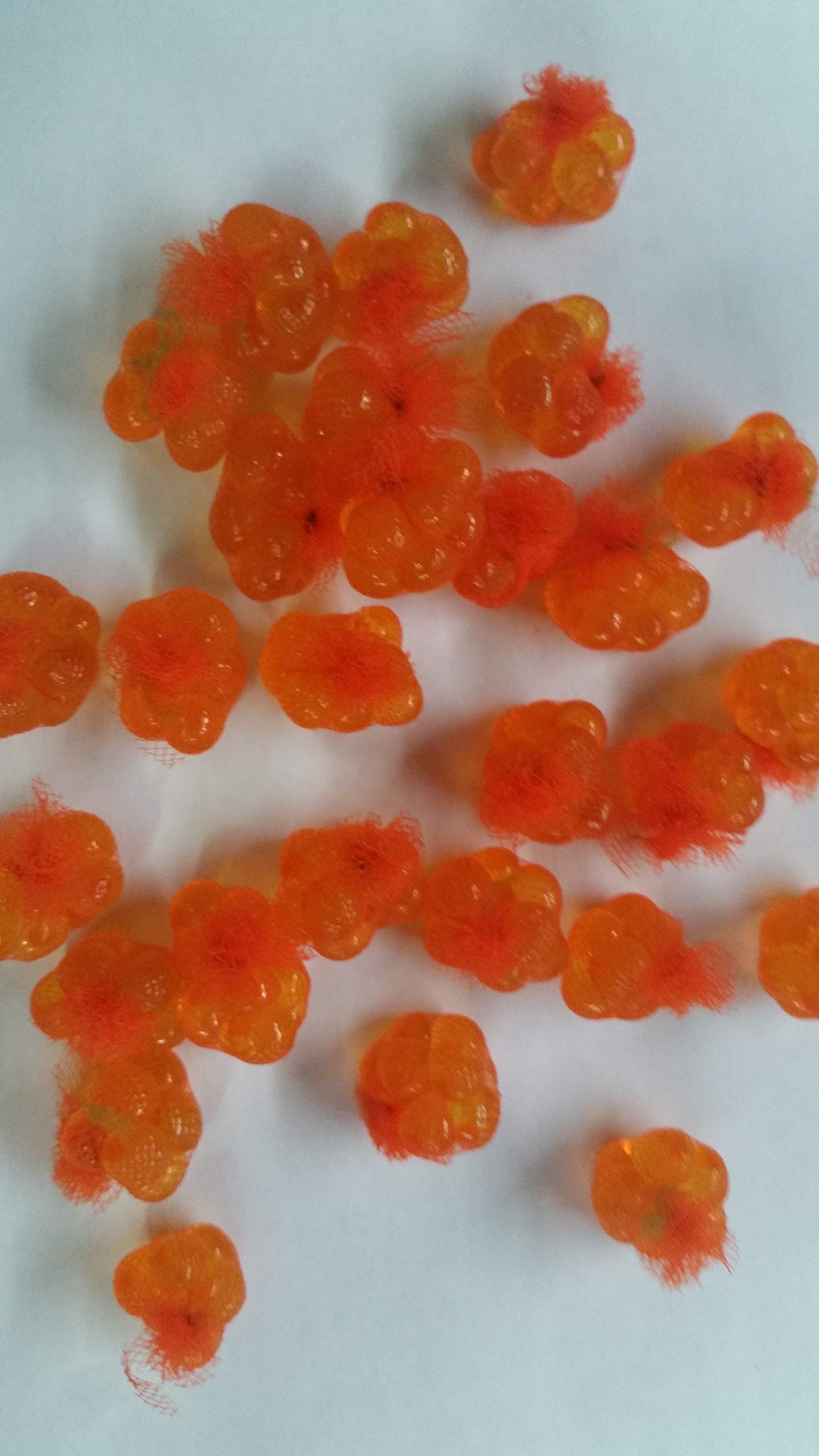 36 Ct. Orange Spawn Sacs