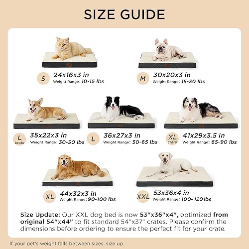 Miniatura 6 de Bedsure Camas para Perros de Tamaño Grande  Cómodas Camas Planas para Mascotas con Funda Extraíble Lavable, Colchoneta de Espuma Ortopédica tipo