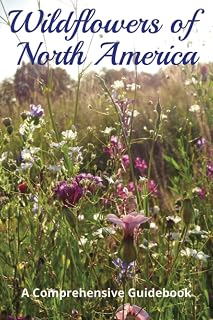 Secret Password Logbook - Wildflowers of North America: Fake Hidden in Plain Sight Password Notebook Disguised as a Real Book | 104 Alphabetical Pages ... Per Page | 6x9 Secret Password Keeper Journal