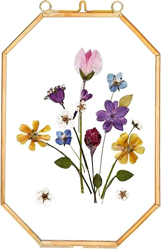 Miniatura 9 de REDHUGO Marcos de flores prensadas, marcos flotantes de vidrio para exhibir imágenes de plantas secas, marco de fotos de latón colgante con cadena,