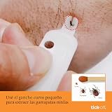 Ver la foto 4