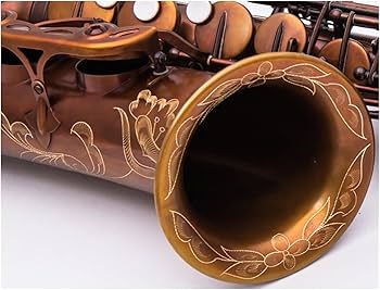 Amazon | プロフェッショナル サックス アルトサックス Eb