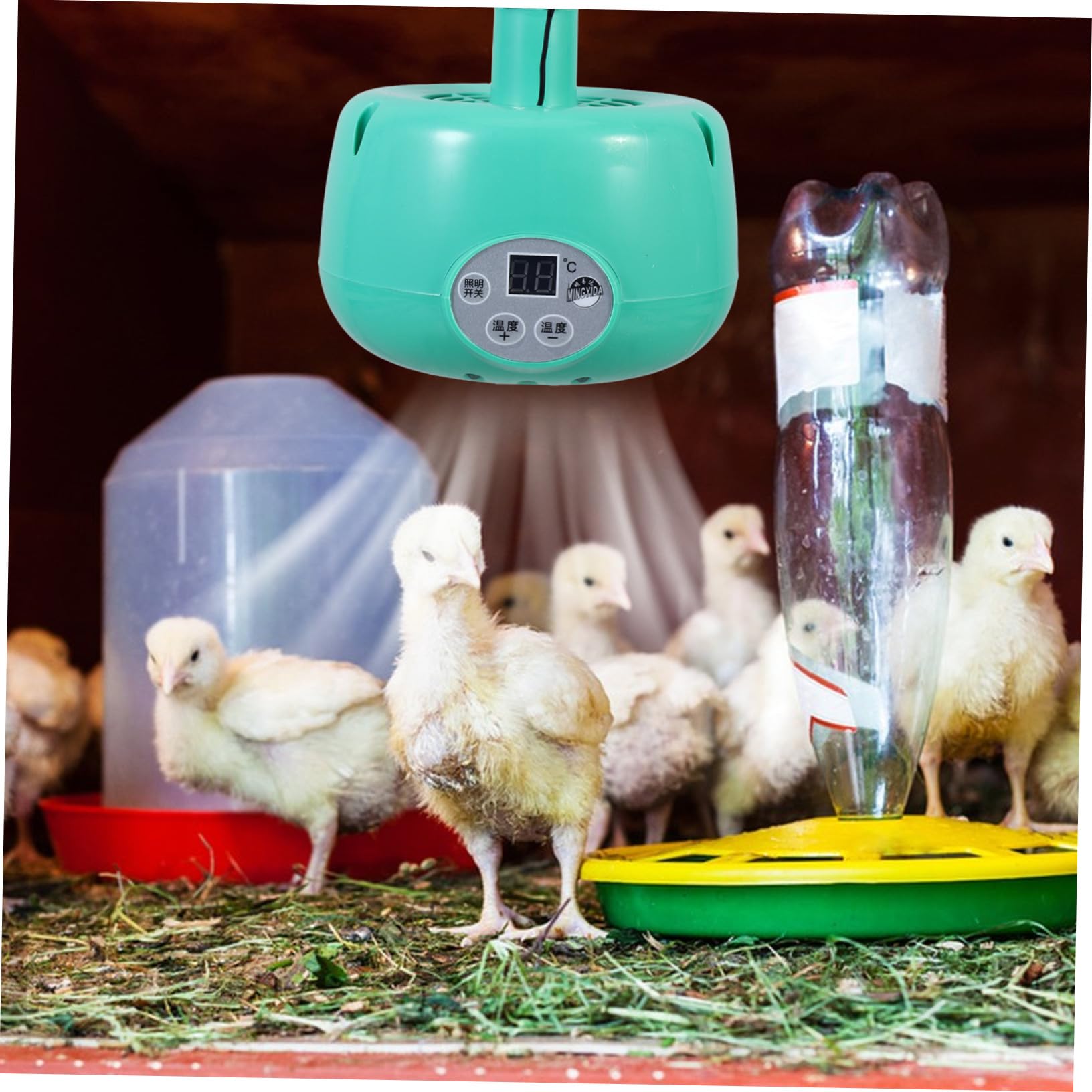 Lampada Riscaldante per Rettili e Uccelli, Emettitore di Calore | 1 Pezzo, Plastica e Metallo, Verde, senza Emissione Luminosa, per Terrario