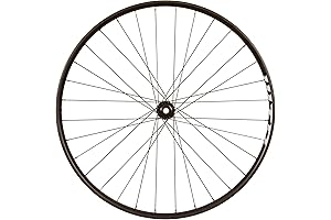 WTB STi30 Front Wheel 29"