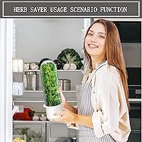 Vista 7 de Protector de hierbas para refrigerador, recipiente de cilantro para refrigerador, hierbas frescas, conservador de lechuga para refrigerador