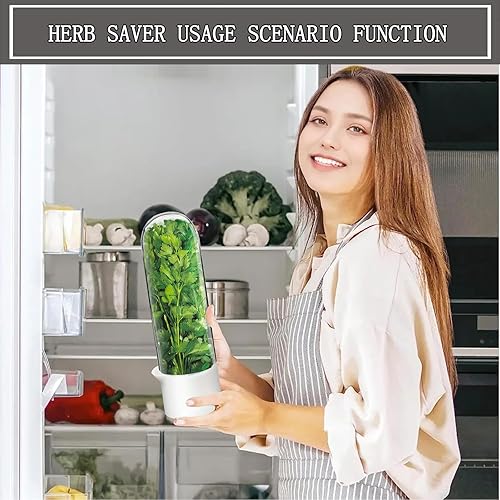 Miniatura 7 de Protector de hierbas para refrigerador, conservador de lechuga de hierbas frescas para refrigerador, recipiente de cilantro para nevera, perejil,