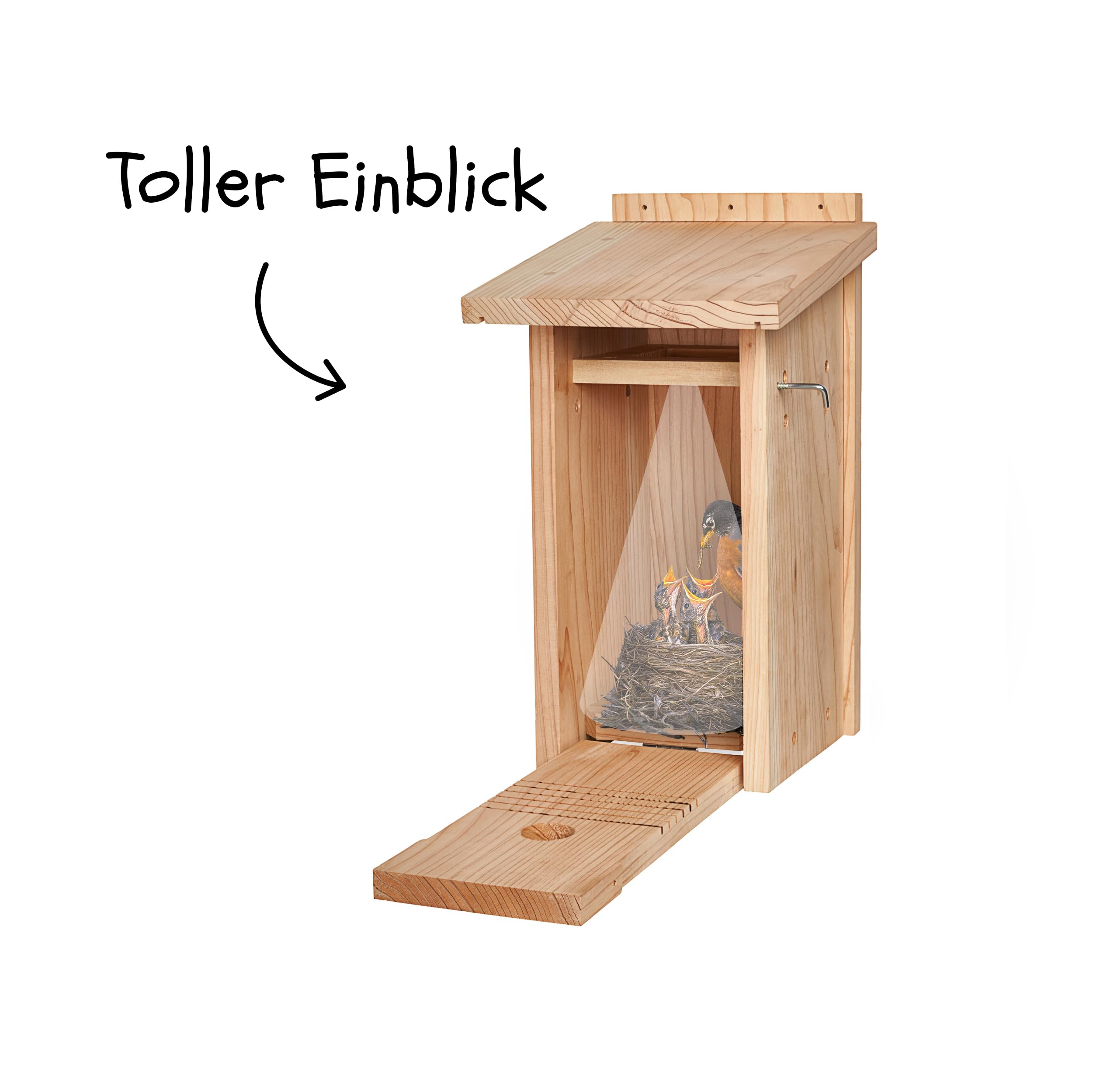 Little Birds - Caja nido para cámara "Blink", madera maciza ecológica, protección para gatos y pájaros carpinteros, incubadora