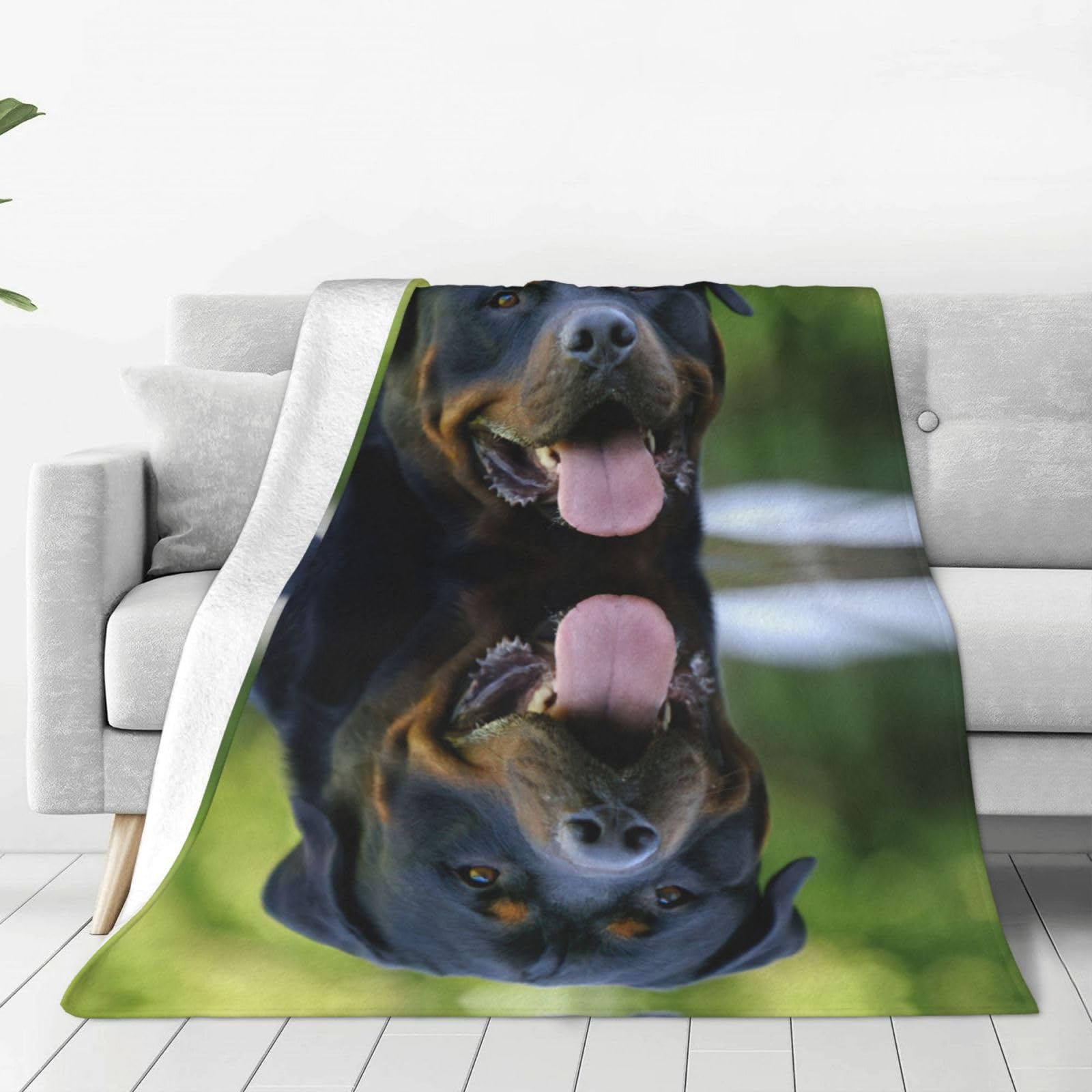 Couverture Rottweiler plaid en micro-polaire flanelle chaude anti-boulochage pour lit et maison