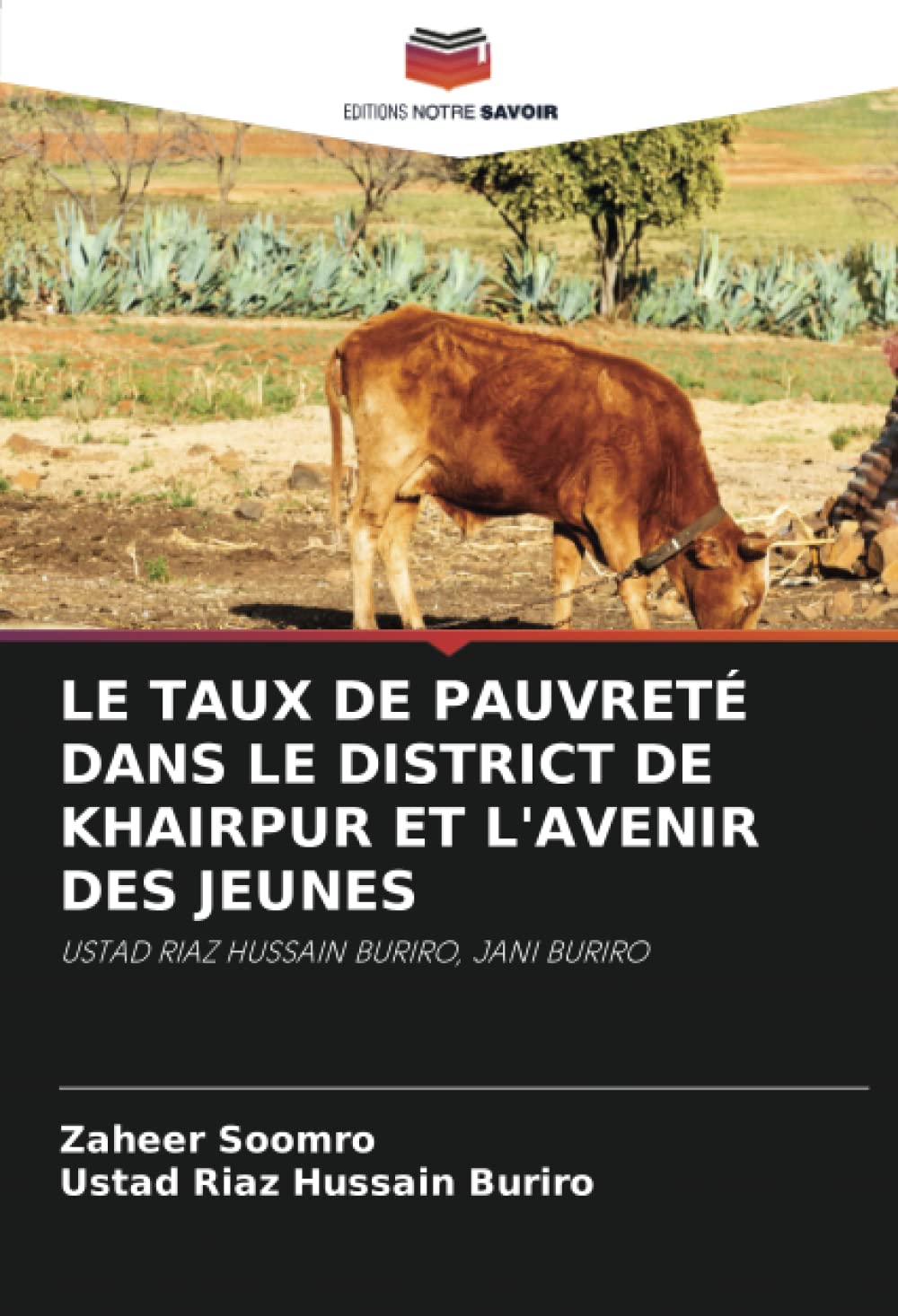 Livre de sociologie sur la pauvreté à Khairpur et la jeunesse par Jani Buriro