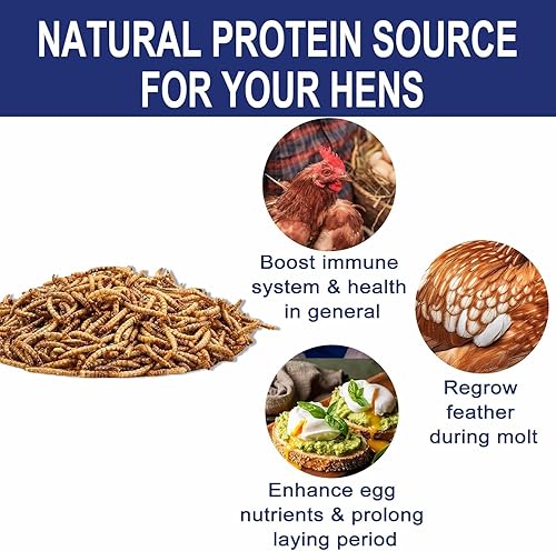 Vista 12 de RANZ Gusanos de harina secos sin OMG de 2 libras para pollos, gusanos de comida con alto contenido de proteínas, alimento premium para pollos