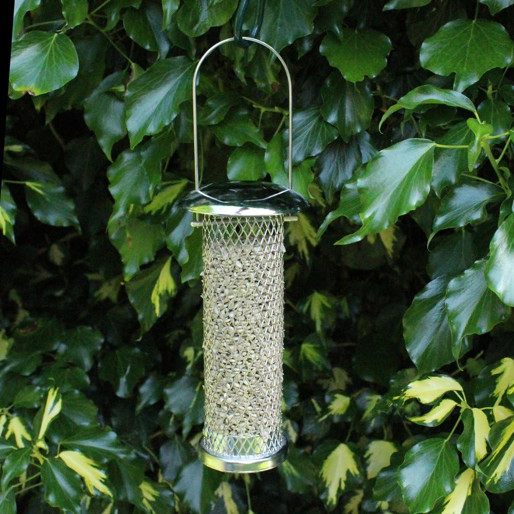 Happy Beaks Kingfisher Hanging Bird Feeder Stainless Steel Sunflower Seed Bird Feeder for Small Birds