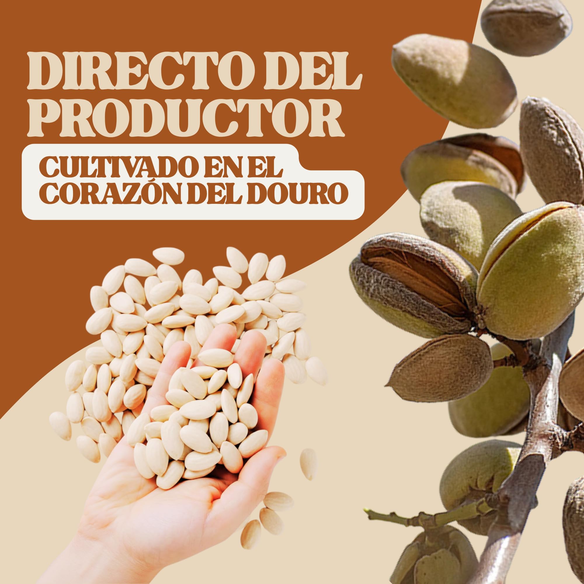 Vale D'Amêndoa Almendras Crudas Sin Piel 1kg, Calibre Grande S/14, Frutos Secos Naturales de Portugal, Sabor Dulce y Mantecoso, Ideal Snack, Repostería y Harina de Almendra, Keto, Vegano, Sin Gluten
