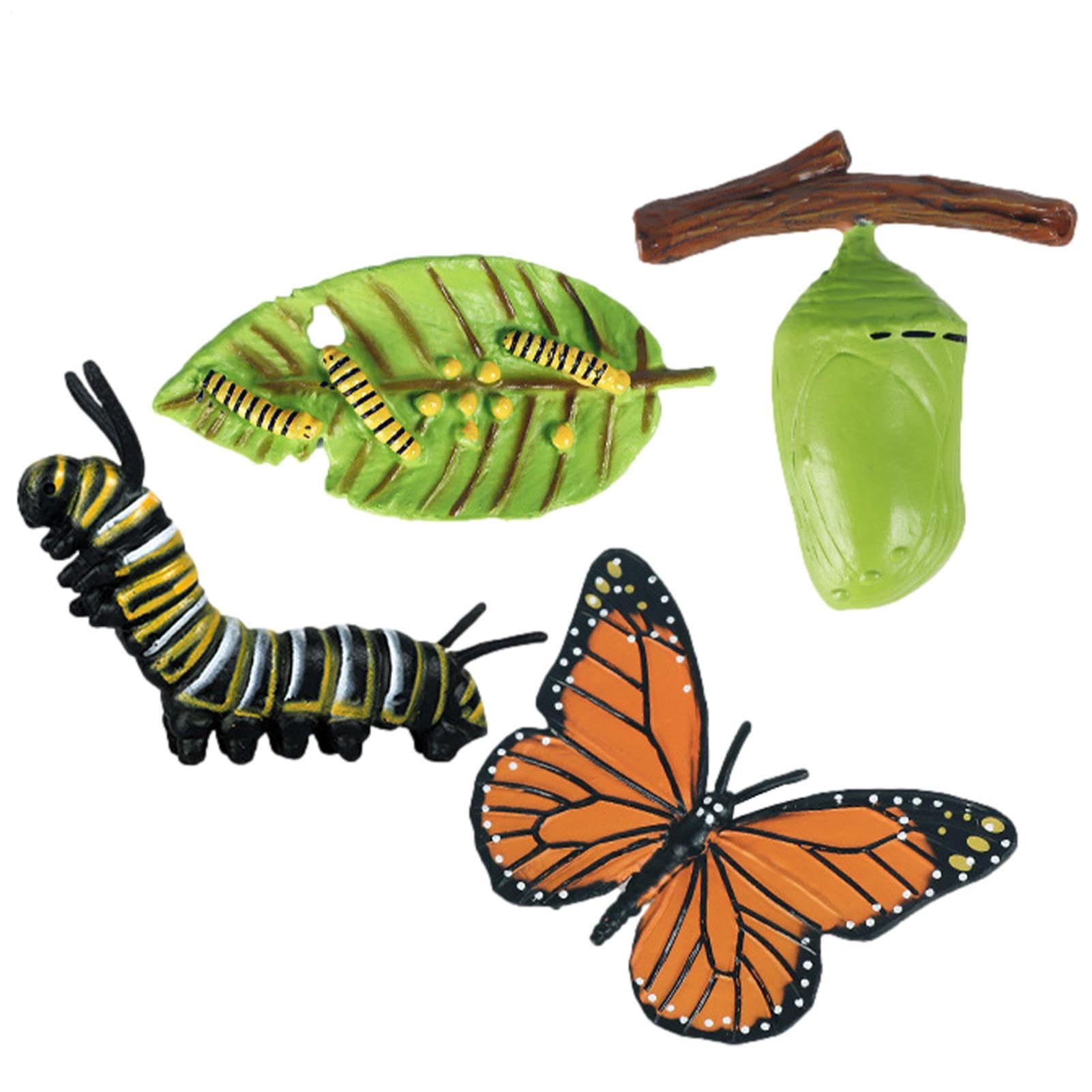 Insectss Life Cycle Figurines - Educational Biological Growth Stages, Realistic Hand-Painted Learning Models, Durable Odourlesss PP Plasticss Build, 4 to 5 Piece Development Sets - for Kids 3 Years — view 9