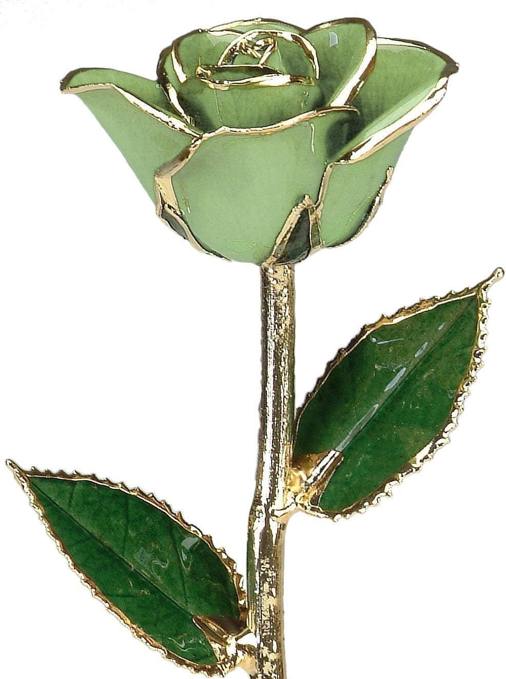 Allmygold Apple Green Lacquered 24k Gold Dipped Long Stem Genuine Rose