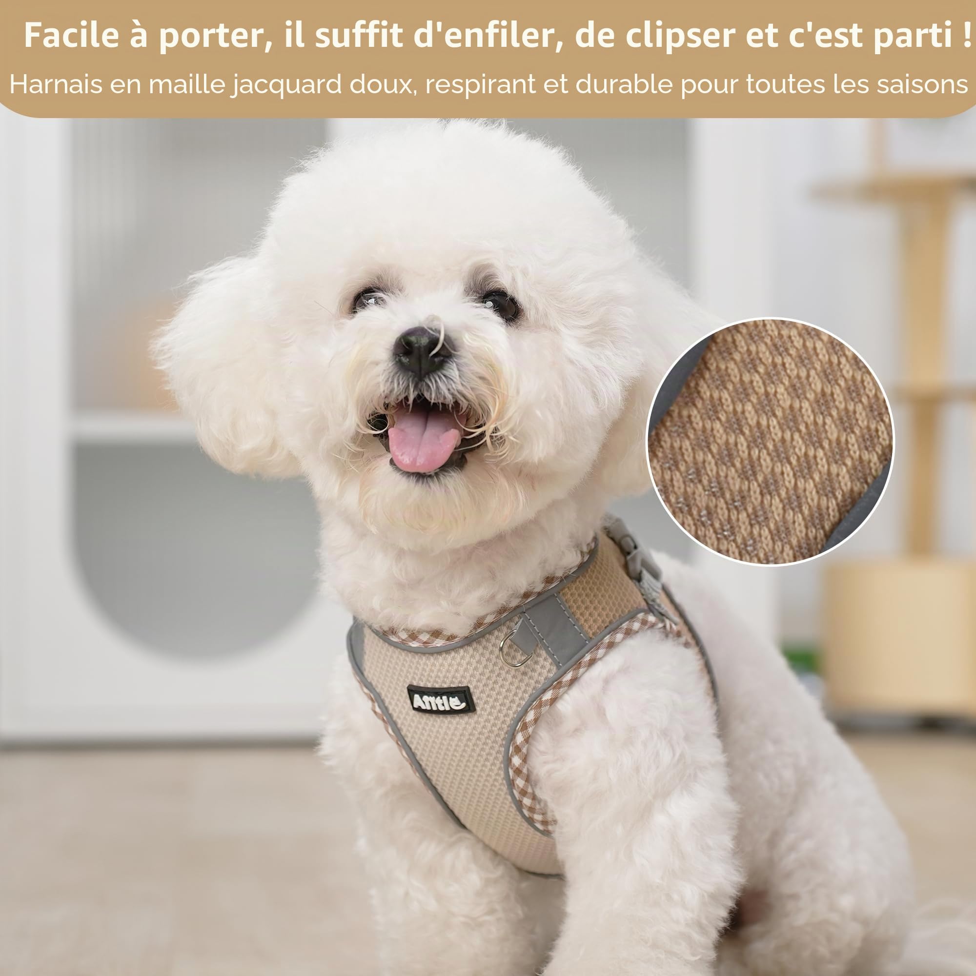 AIITLE Ensemble Harnais et Laisse pour Chien pour la Promenade, Harnais pour Chiot, Bandes réfléchissantes, pour très Petits Chiens et Chats domestiques Marron-Beige XXXS