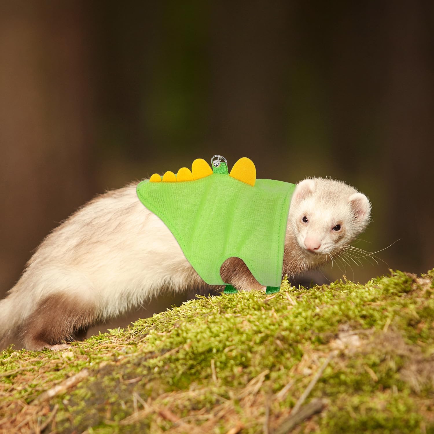 Ensemble Harnais et Laisse pour Furet, Gilet en Forme de Dinosaure Petits Animaux Accessoires de Promenade en Plein Air pour Furet Lapin Hamster Chaton Chiot Petits Animaux