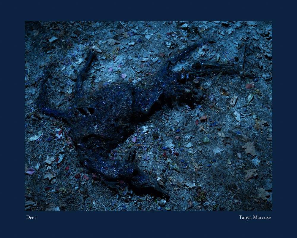 Livre Tanya Marcuse Deer anglais album de photographies d'art nature contemporaine