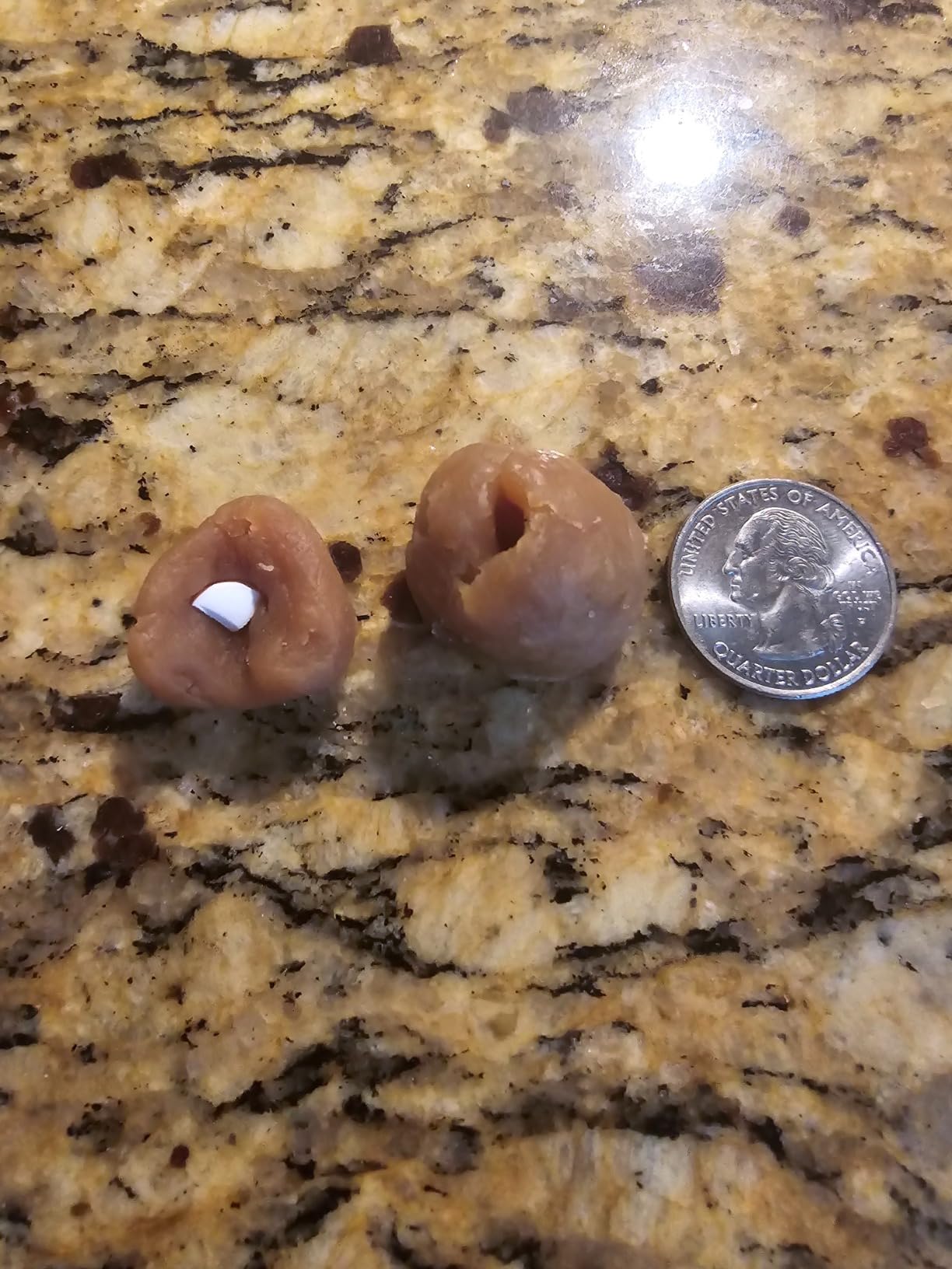 Greenies Pill Pockets for Dogs Large Size, Soft Dog Treats, with Real Peanut Butter, 15.8 oz. Pouch (60 Treats) photo review