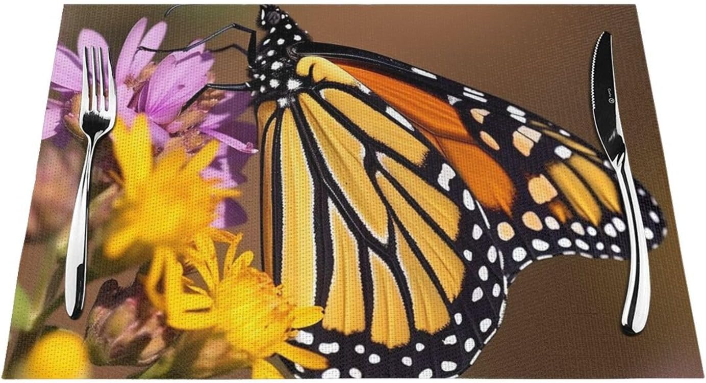 Monarch Butterfly Placemats Set of Non Slip Heat Resistant Woven Place Mats for Kitchen Table Decoration Indoor Outdoor Washable Dining Table Mats for Dinner Party