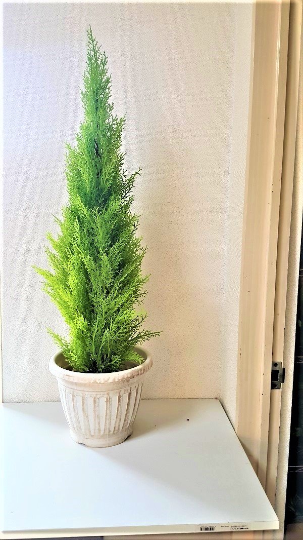 【ラテックス】人工観葉植物 ゴールドクレスト 90cm（造花・フェイクグリーン・フェイクプラント・小さいゴールドクレスト）