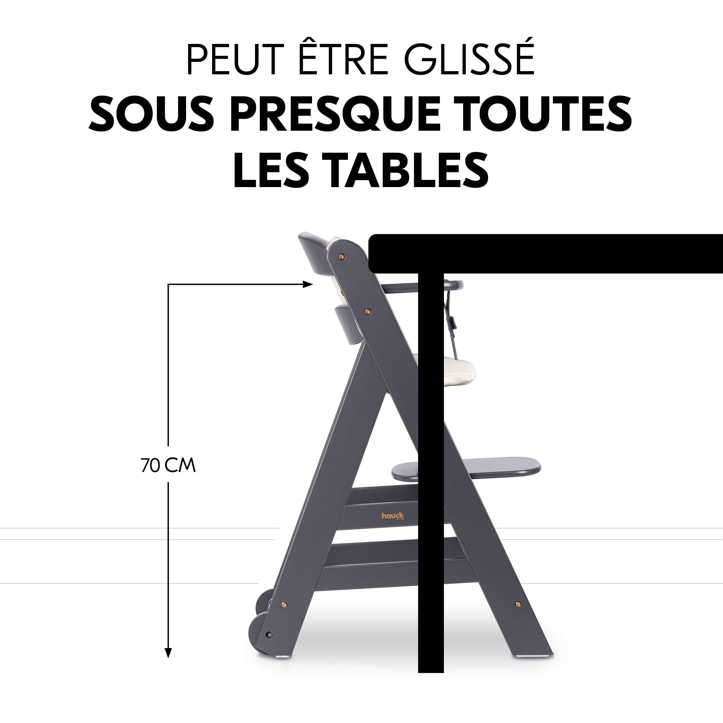 hauck Chaise Haute Bébé Beta+ avec Siège Nouveau-né Eco - Dark Grey | Chaise haute évolutive en bois, de la naissance à 90 kg, inclus assise bébé ergonomique, roues, plateau repas, coussin