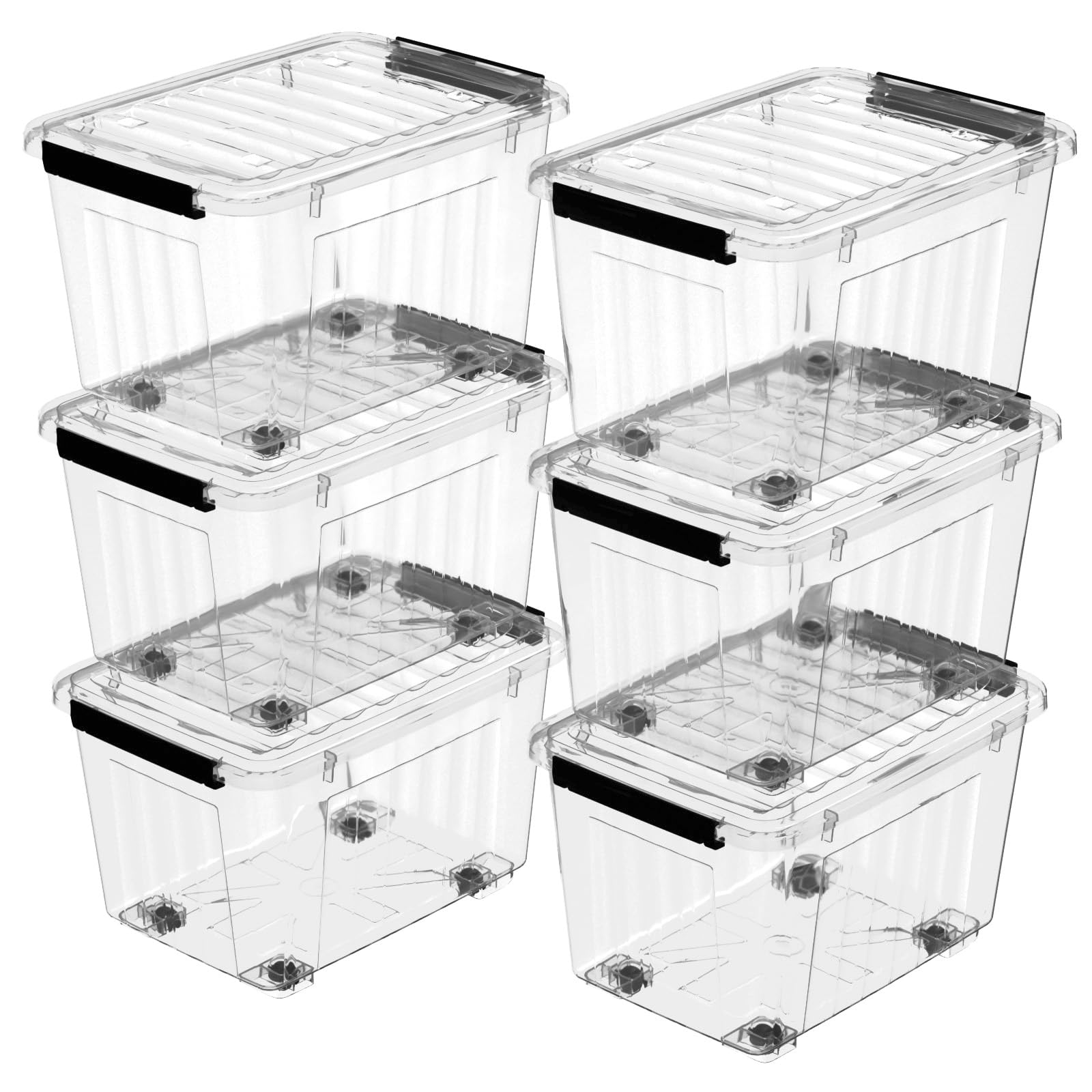 Tomo　10box 816T6k4nhTL._UF894,1000_QL80_.jpg