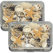 Sea Shells Different Shape Ocean Seashells Mixed Sea Shells Starfish Artificial Seashells for Fish Tank Decorations Beach Painting Arts & Crafts DIY Crafts Gallery Home DIY