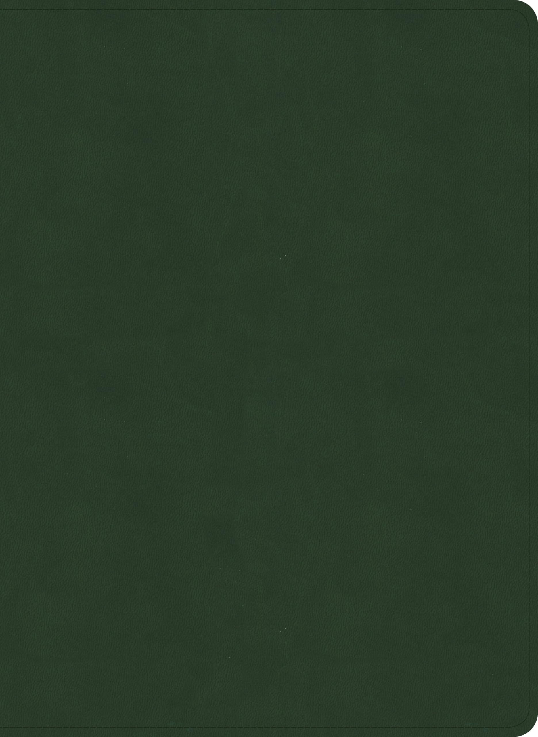 NASB Study Bible, Olive LeatherTouch