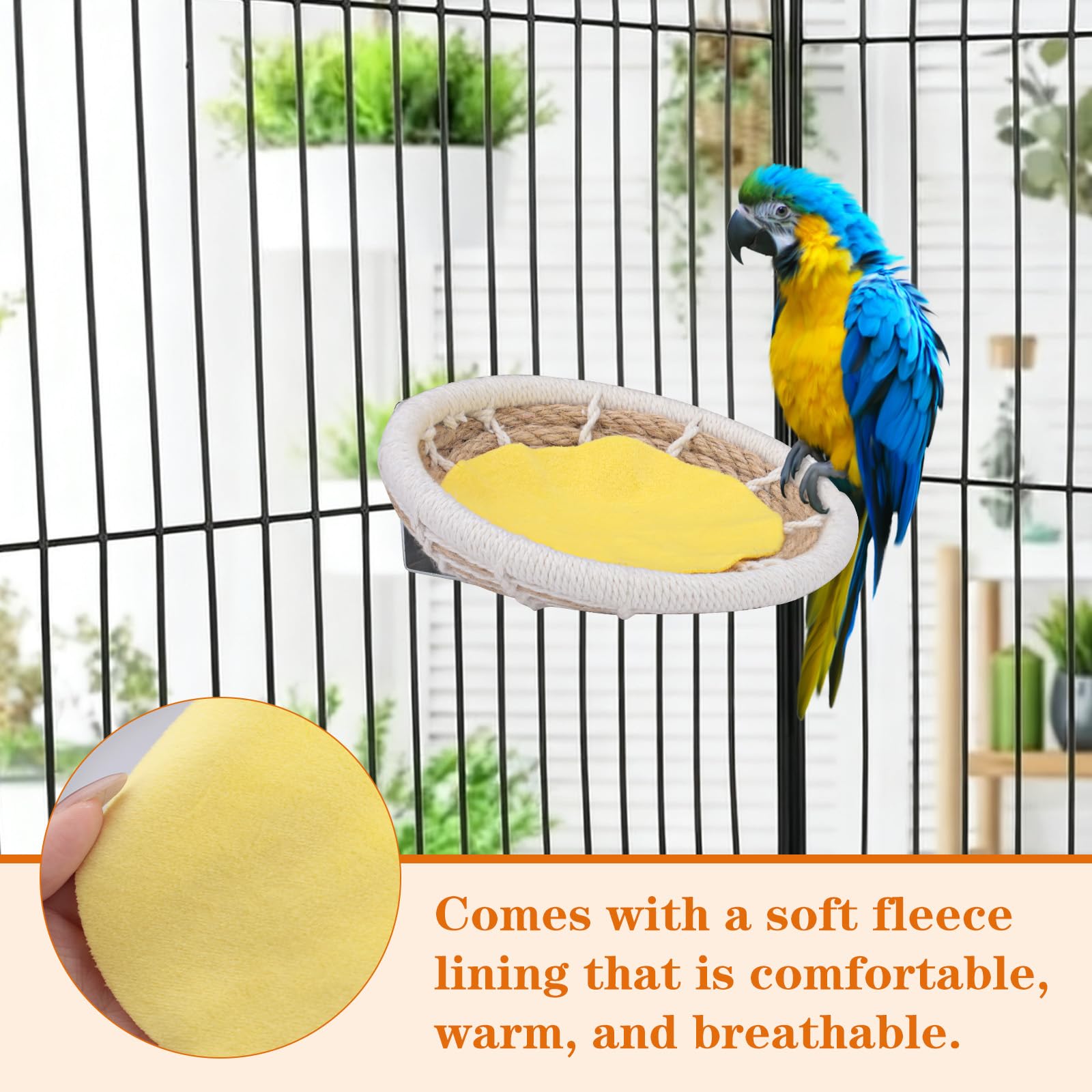 View 5