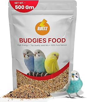 Bird Food for Budgies - 500gm | Natural & Healthy Premium Mix Seeds, | Daily Bird Budgies Food Seeds| All Life Stages - Mix Seeds (500 GM)