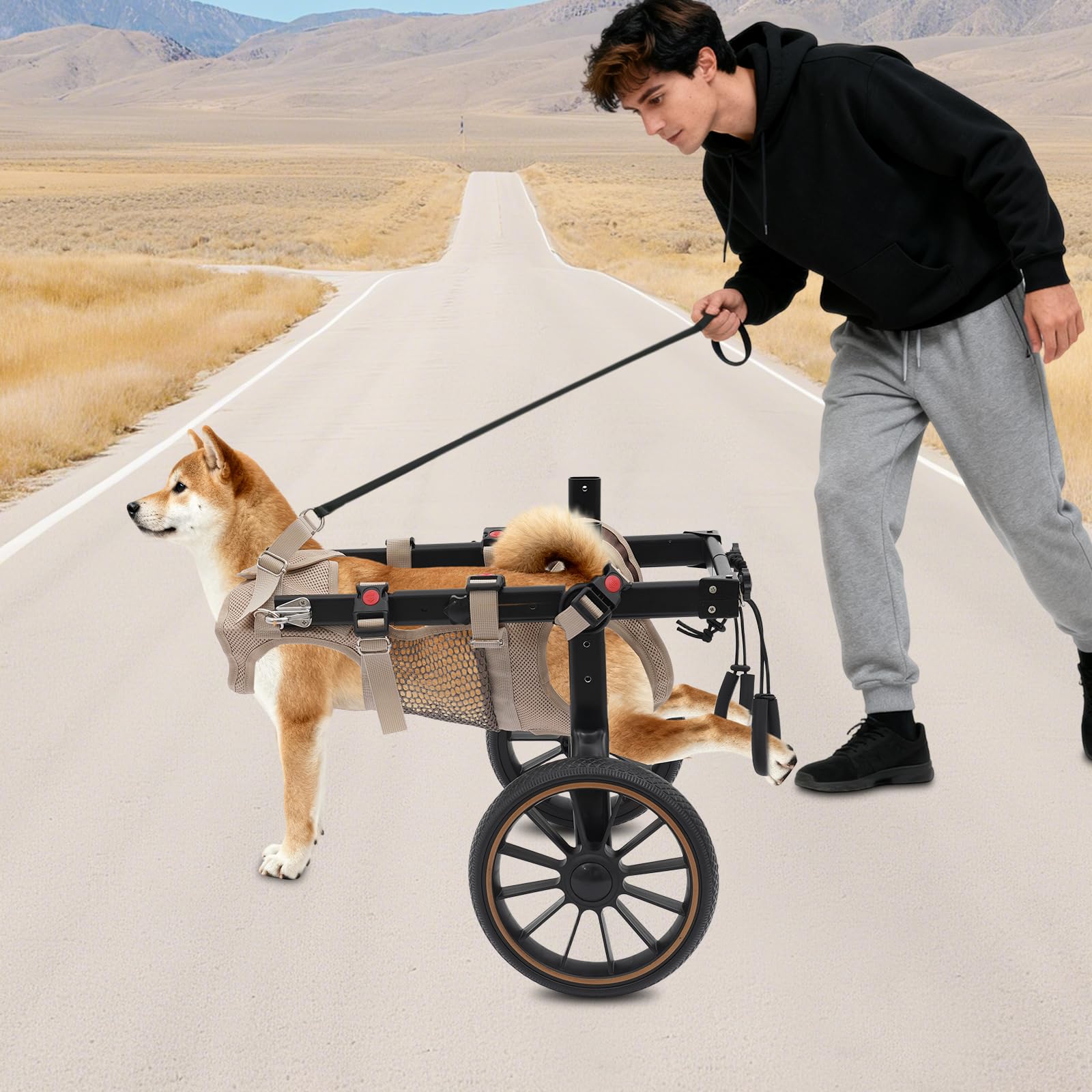Fauteuil roulant léger à 2 roues pour animaux de compagnie jusqu'à 65 kg, hauteur, largeur et longueur réglables, chariot pour chien avec roues amortissantes, aide à la rééducation pour chiens blessés