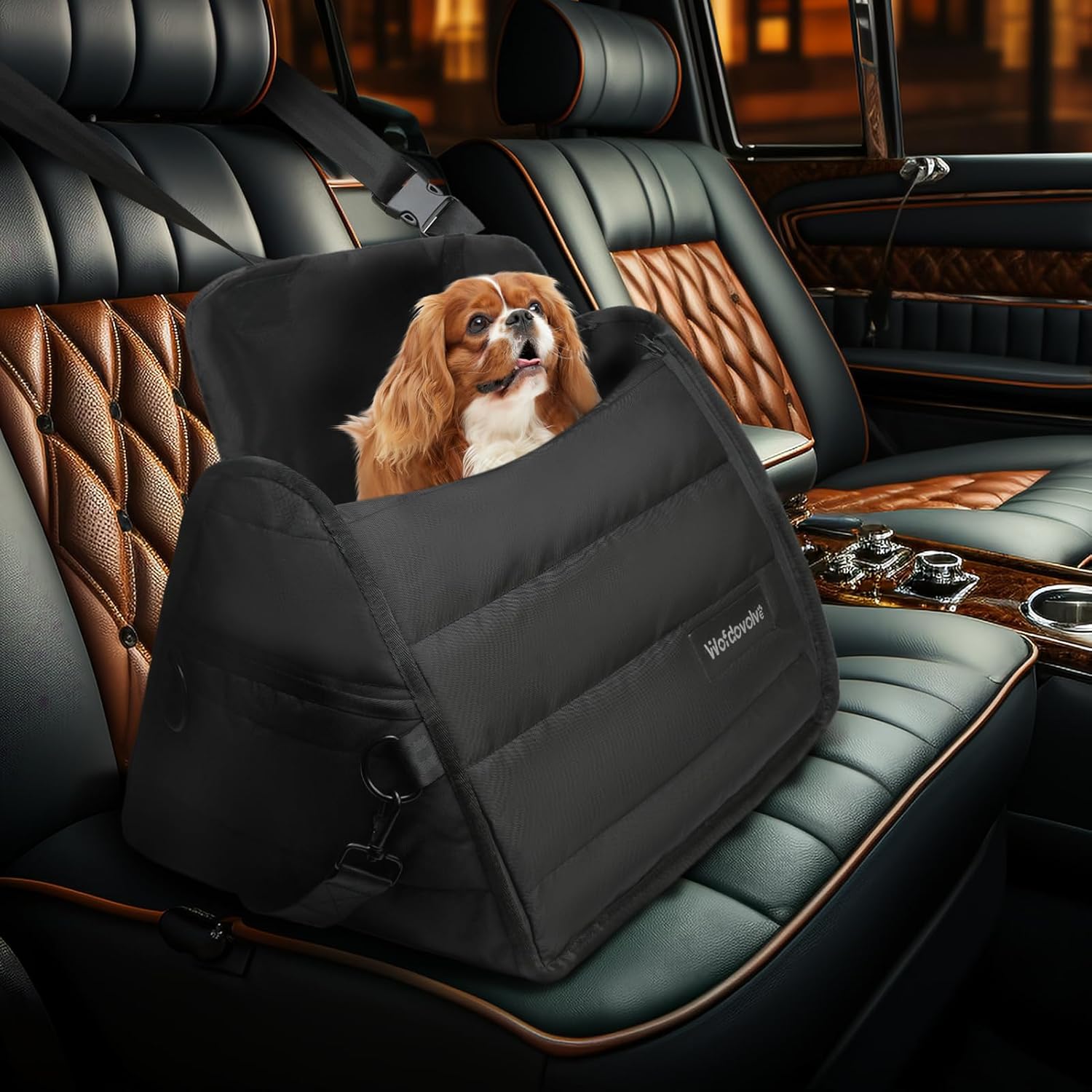 Small Dog Car Seat with 2 Storage Pockets, Foldable Front Puppy Car Seat Dog Mat, Portable Pet Travel Carrier Bag Doggie Dog Car Seats for Small Dogs Cats Under 30 Lbs with Harness (Black)