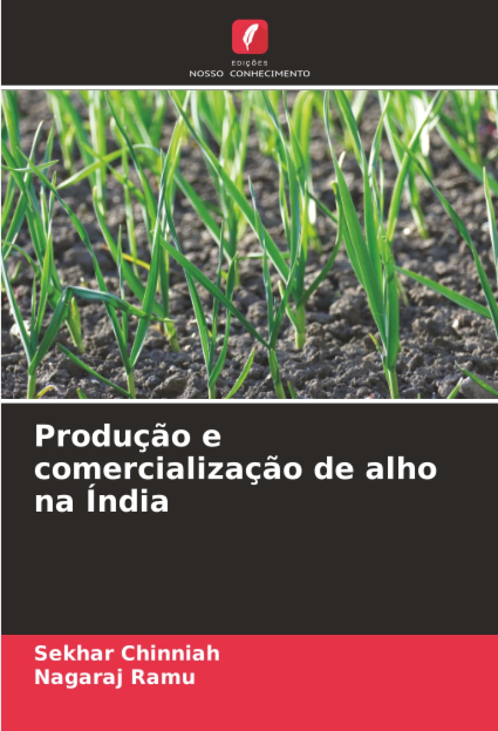 Produção e comercialização de alho na Índia