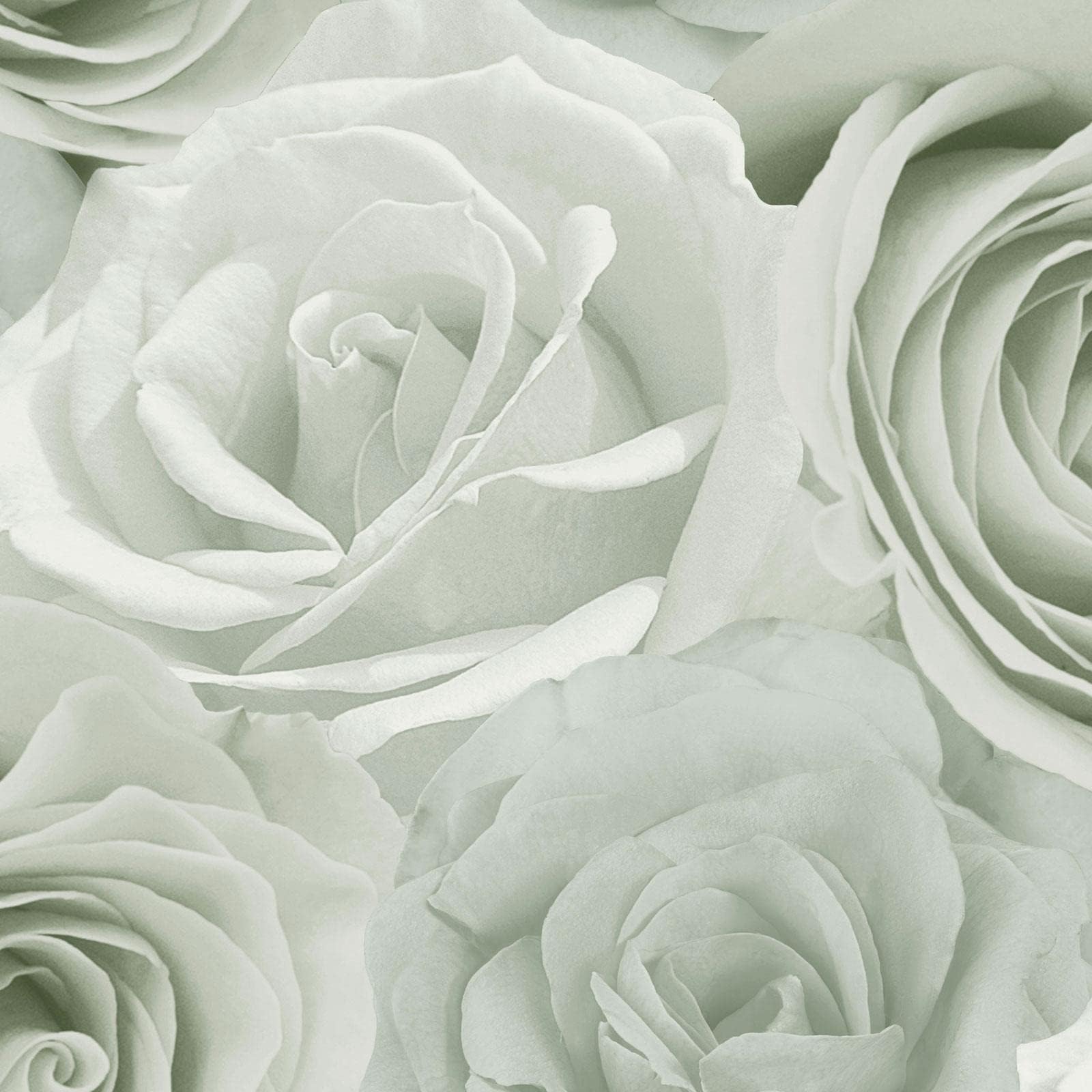 Melany Rose Floral Wallpaper World of Wallpaper - Ideal for Lounges, Bedrooms, Dining Rooms and Hallways (Sage Green)