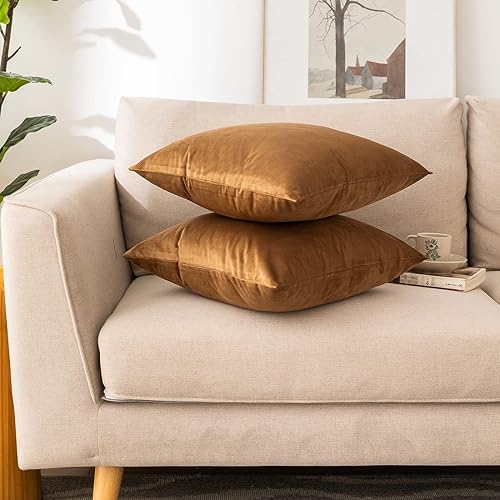 Miniatura 7 de NiNi ALL - Juego de 2 fundas de almohada decorativas de terciopelo, fundas de almohada para sofá, dormitorio, sala de estar, fundas de almohada de