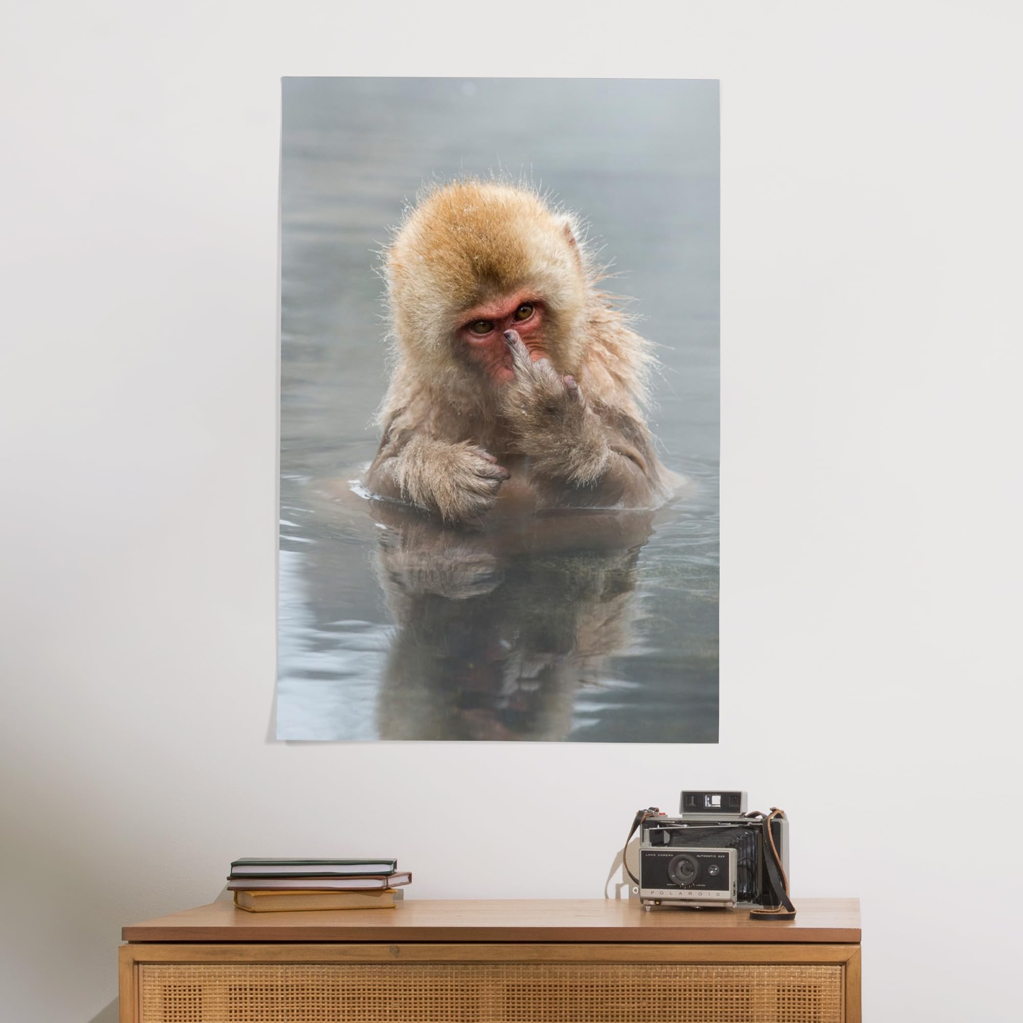 Amazon.com: Lantern Press 24x36 Inch Giclee Art Print Wall Decor