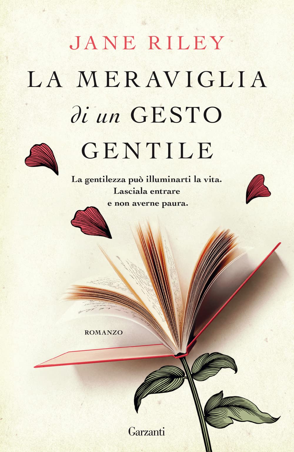 La Meraviglia Di Un Gesto Gentile - 4
