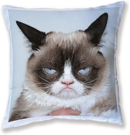 grumpy cat cushion