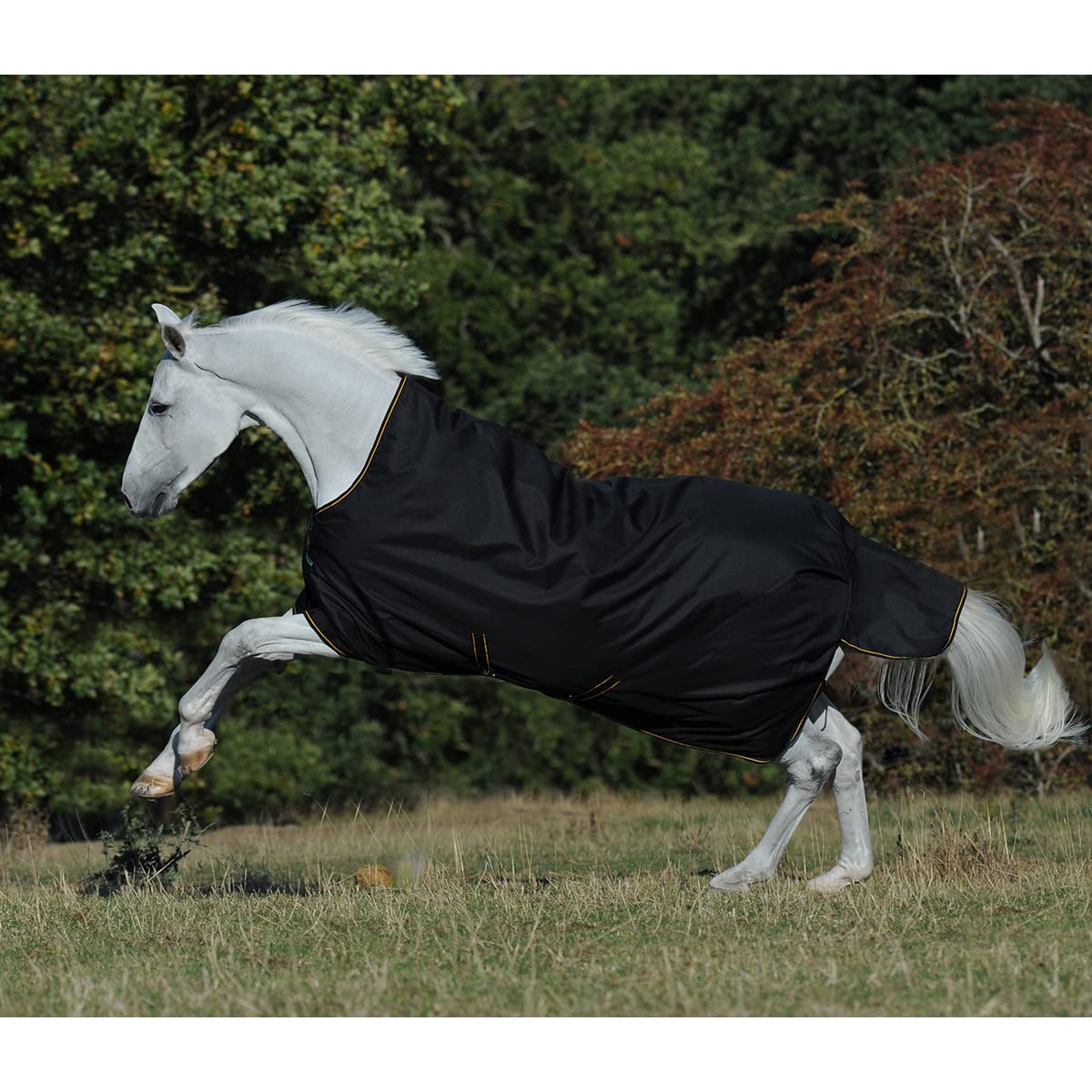 Bucas Irish Turnout Big Neck 50g - Black/Gold