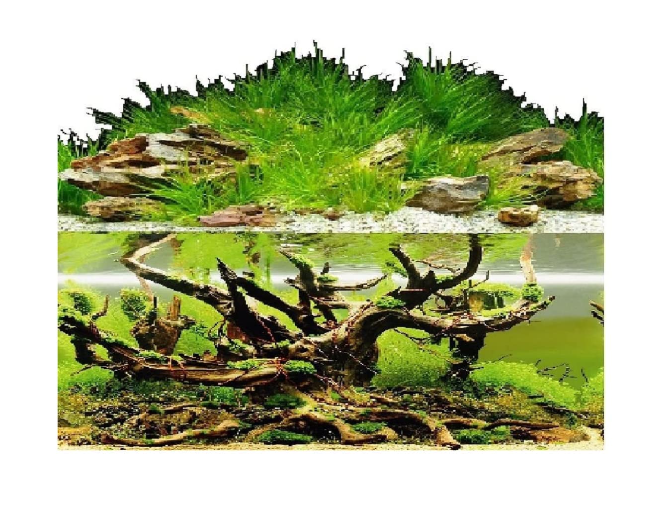 Aquarium Background Double Sided for Fish Tanks, 60cm (24") High