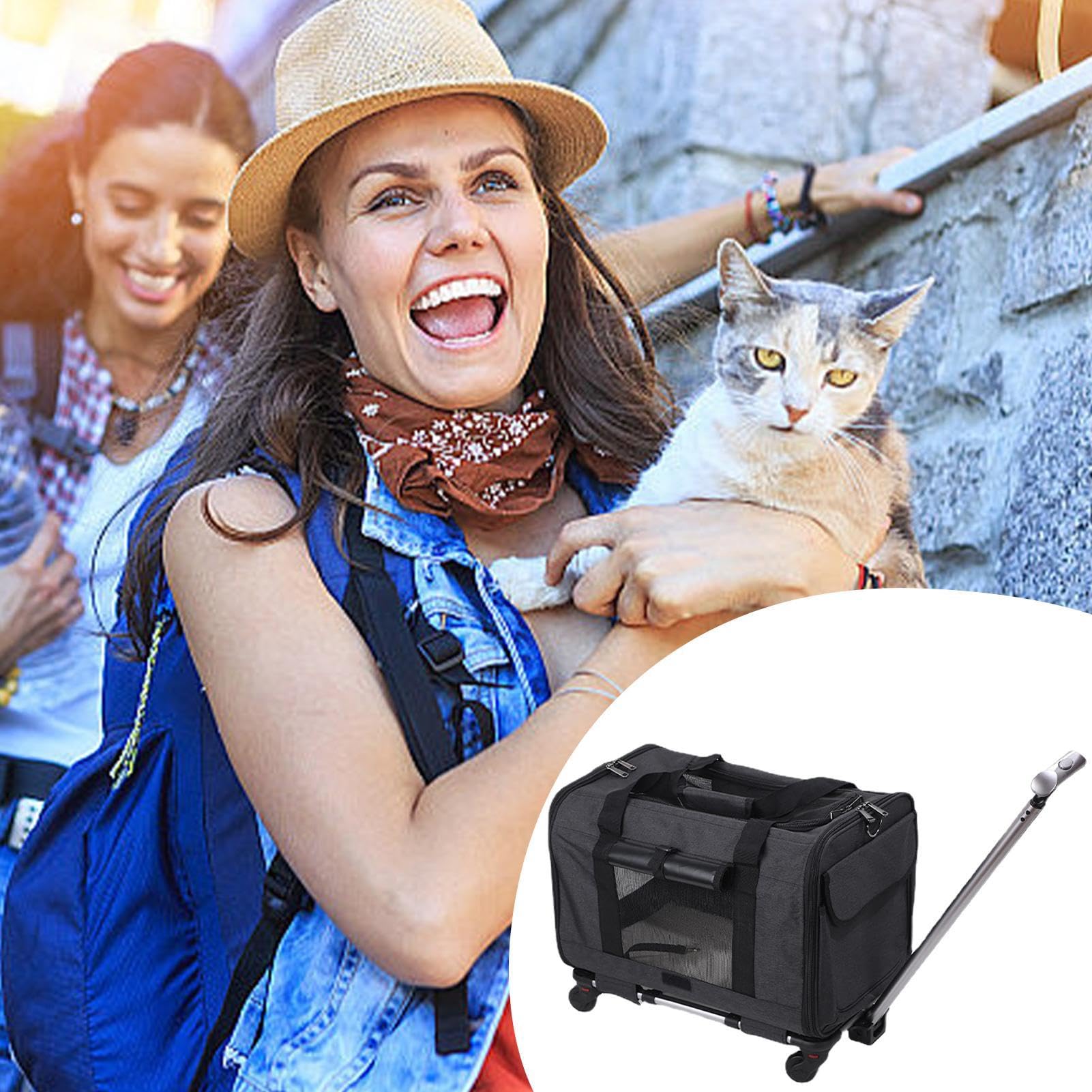 Transportín para Gatos Grande | Transportín para Perros y Gatos pequeños | con Ruedas - de Viaje para Perros pequeños, transportín Suave y Deslizante para Gatos Que Viven en casa,