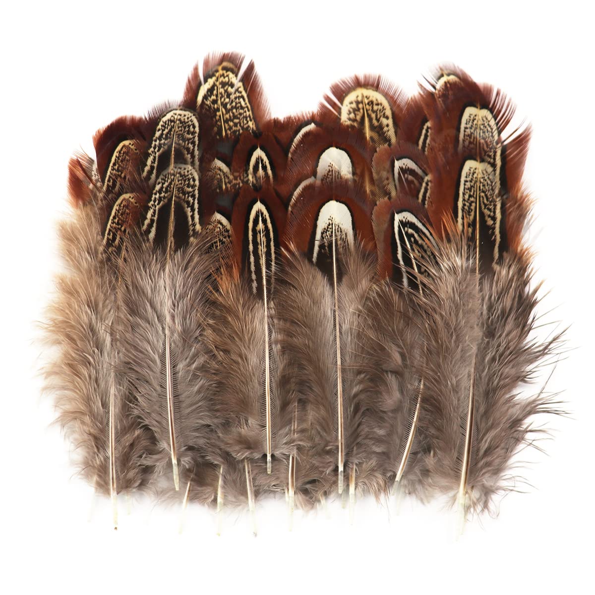 200 Pcs Natural Pheasant Feathers 2-3 Inches （5-7CM）Feather for Crafts Sewing Clothing Decorating Accessories